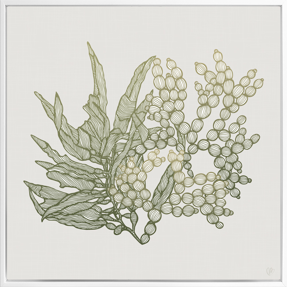 Sea Garden Seaweed 2 Canvass White Square Frame